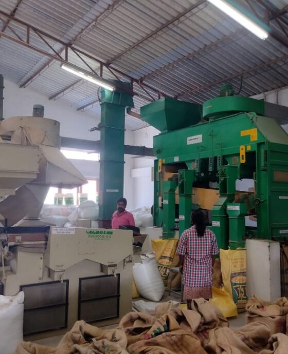 Seed production and processing